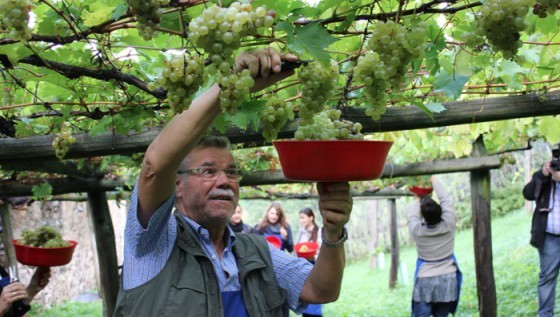 sito ufficiale alto adige
