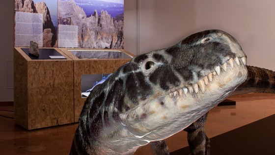 DinoMiti. Rettili fossili e dinosauri nelle Dolomiti (Foto dal sito ufficiale)