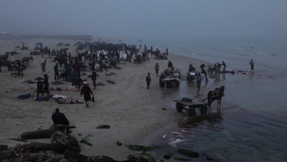 Striplife - A Day in Gaza, film d'apertura (Foto dal sito ufficiale)