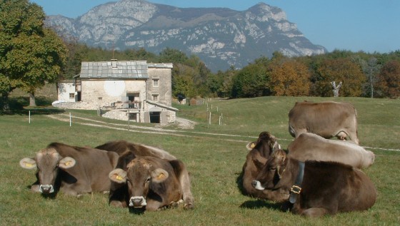 Malga Riondera (Foto dal sito ufficiale)