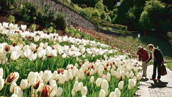 I Giardini di Castel Trauttmansdorff (Foto dal sito ufficiale)