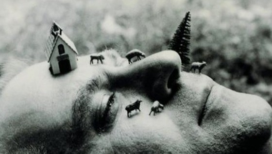Luis Camnitzer - Landscape as an Attitude (Foto dal sito ufficiale)