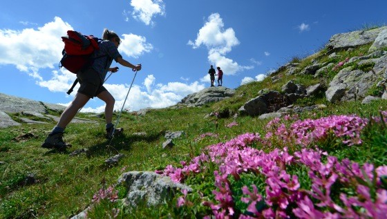 - (Foto di P. Orler)
