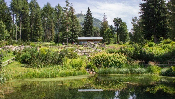 Giardino Botanico Alpino (Foto arch. museo/Giacomo Vadala)