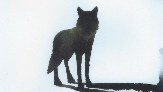 - (Immagine da copertina)