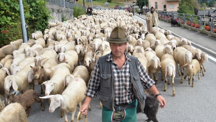 - (Foto dal sito ufficiale)