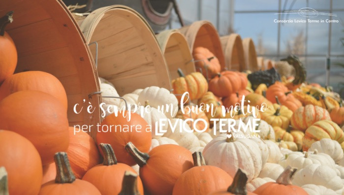- (Foto dal sito ufficiale)