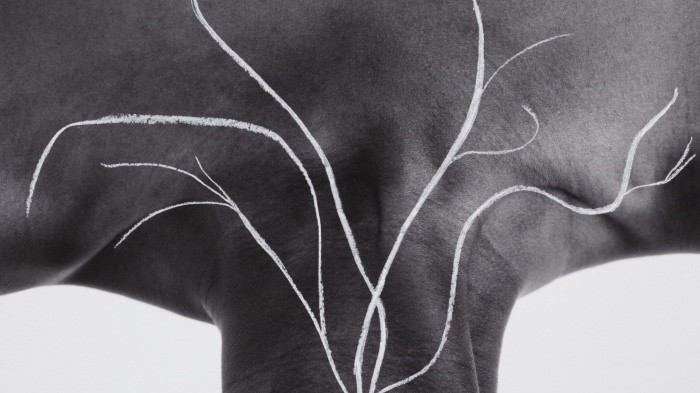 Binta Diaw per la Diciannovesima Giornata del Contemporaneo, Pa(y)sage Corporel, 2023