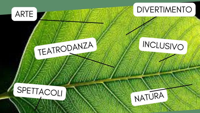 Particolare da locandina (Foto dal sito ufficiale)