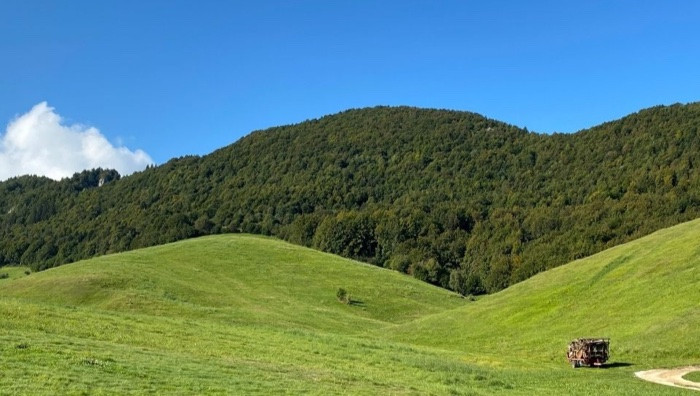 - (Foto di A. Salvaterra)
