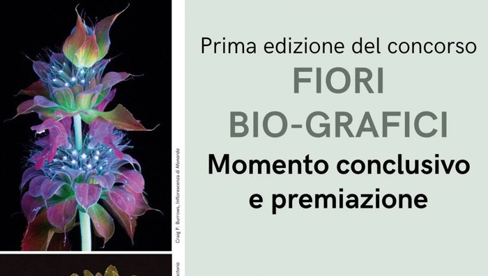 Particolare da locandina (Foto dal sito ufficiale / © Fondazione museo storico del Trentino)