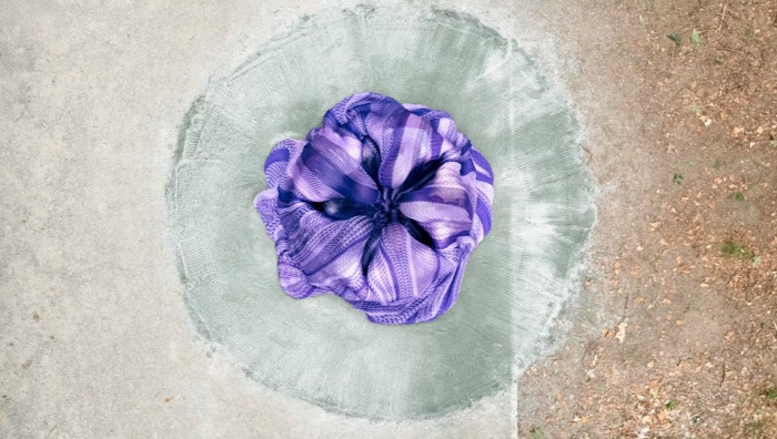 To Bloom () Florecimiento, Amanda Piña (ph Keen)