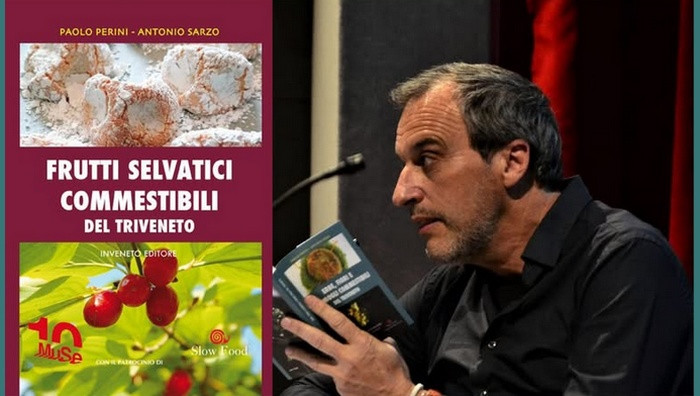 Particolare da copertina (Foto dal sito ufficiale)