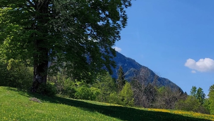 - (Immagine da locandina / particolare)