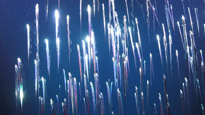 Aphotic Zone, video still (Foto da sito ufficiale)