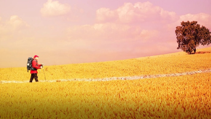 - (Immagine da locandina / particolare)