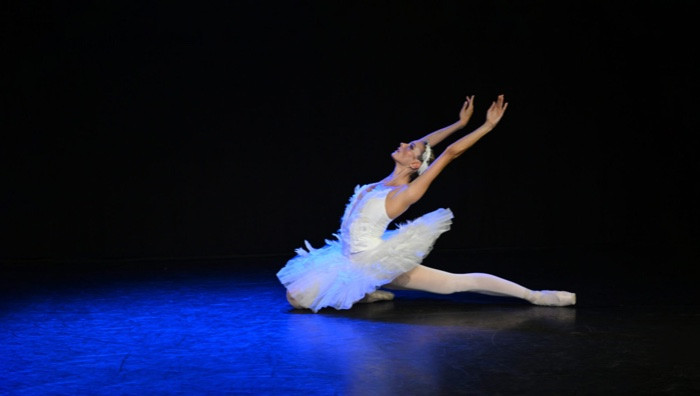 - (Immagine da libretto / particolare)