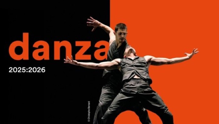 - (Immagine da libretto / particolare)