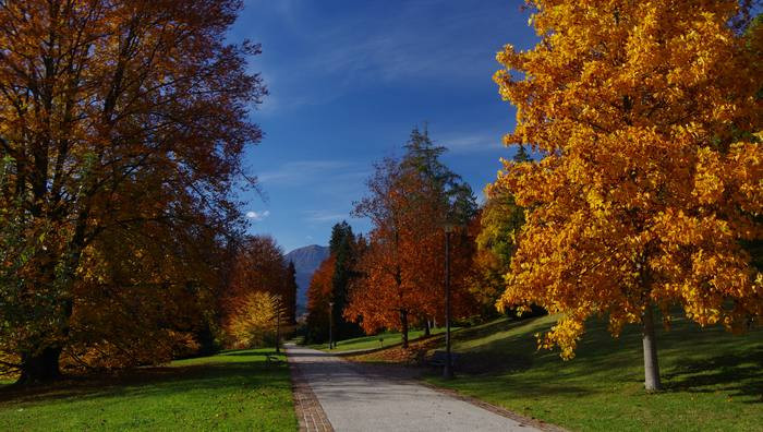 - (Foto dal sito ufficiale /  Ph. SOVA)