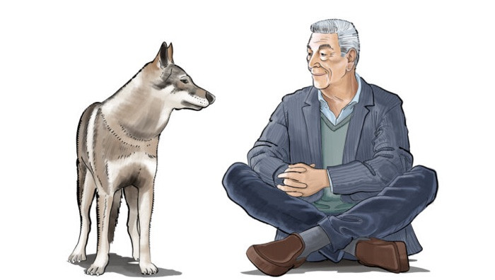 - (Immagine da locandina / particolare)