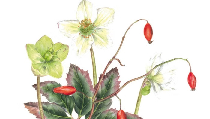 - (Immagine da invito)