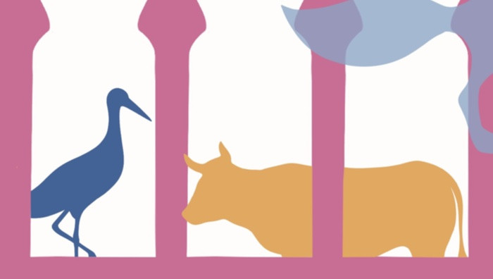 - (Immagine da locandina / particolare)