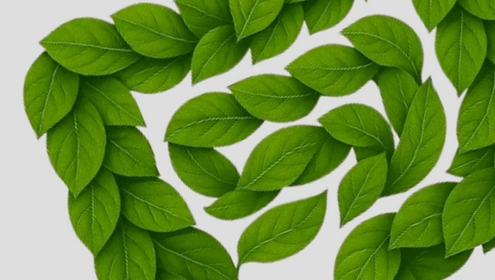 - (Immagine da locandina / particolare)