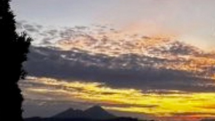 Particolare da copertina (Foto dal sito ufficiale)