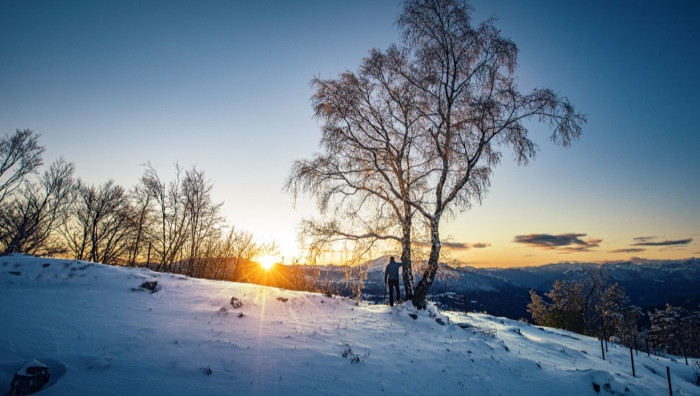 - (Foto di T. Prugnola)