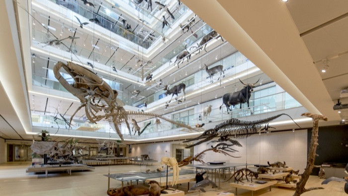 - (Foto dal sito ufficiale / di M. De Stefano)