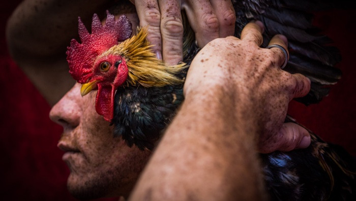 - (Immagine da locandina / particolare)