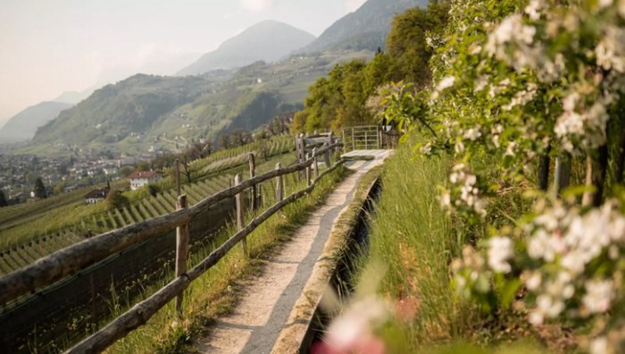 - (Foto dal sito ufficiale / Ph. Patrick Schwienbacher)