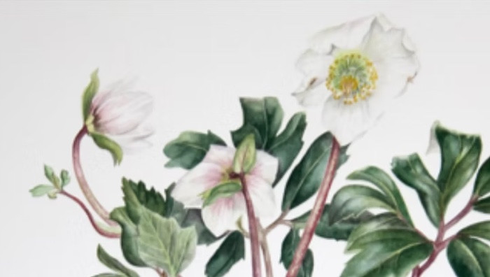 - (Immagine da invito)