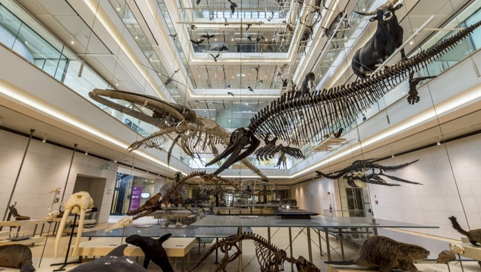 - (Foto di Matteo De Stefano)