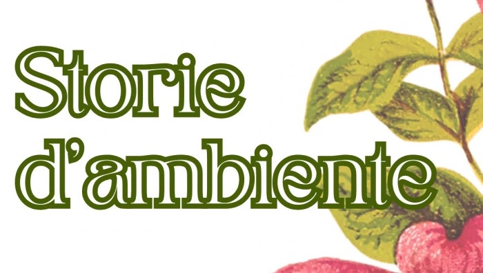 - (Immagine da locandina / particolare)