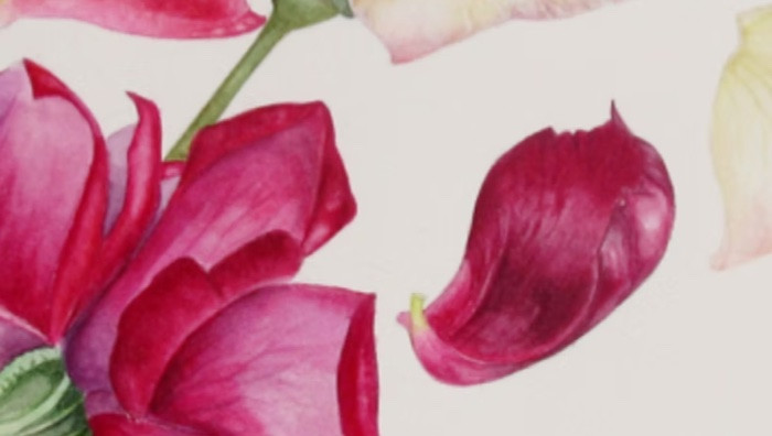 - (Immagine da invito)