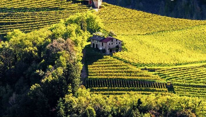 - (Immagine da locandina / particolare)