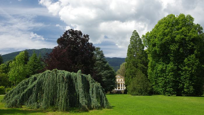 - (Foto dal sito ufficiale / Ph. F.Fronza_archivio SOVA)