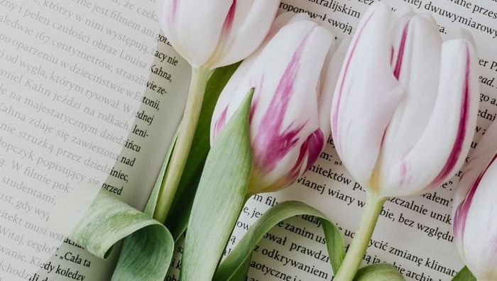 - (Immagine da locandina / particolare)