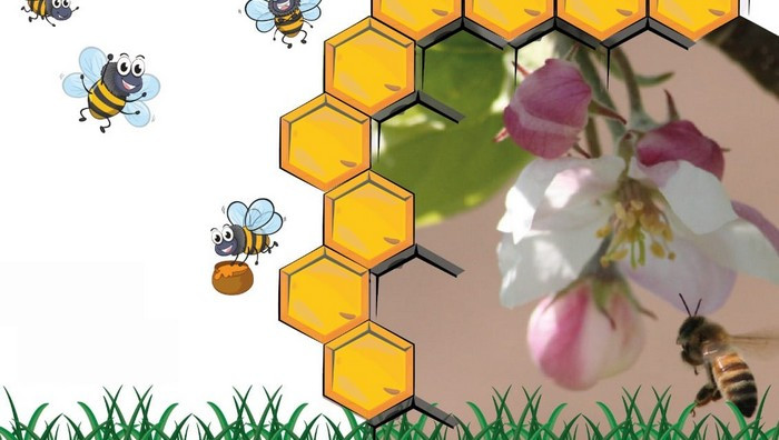 - (Immagine da locandina / particolare)