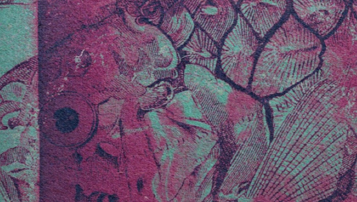 - (Immagine da locandina / particolare)