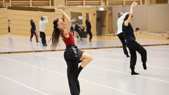 © Südtiroler Kulturinstitut