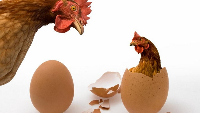 - (Immagine da locandina / particolare. Illustrazione F. Vettori)