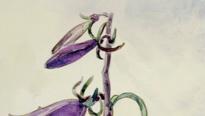 Particolare da locandina (Foto dal sito ufficiale)