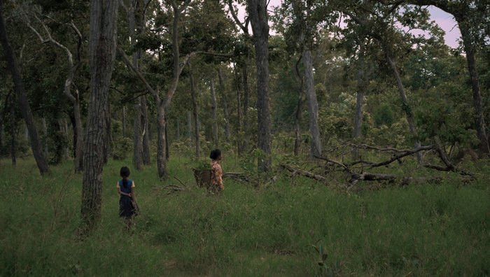 Until the Orchid Blooms (Foto da sito ufficiale)