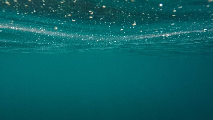 Particolare da locandina (Foto dal sito ufficiale)