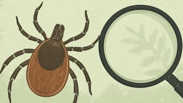 - (Immagine da locandina / particolare)