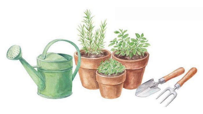 - (Immagine da locandina / particolare)