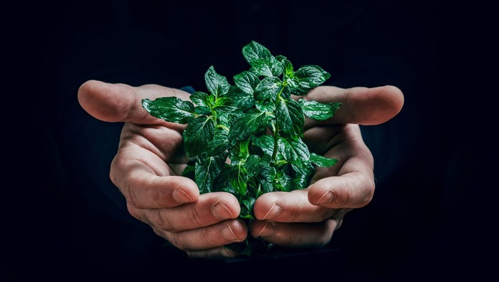 - (Foto dal sito ufficiale / © Jan Kopriva - Unsplash)
