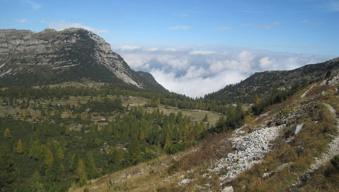 Sulle vie del Pasubio / Trekking sulla cima del Colsanto, tra baiti e pascoli in fiore